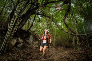 BIB: 
                            <button type="button" onclick="openModal(22178626)" class="btn btn-primary btn-sm float-right btn-popup" data-toggle="modal" data-target=".modal-high-quality">
                        <i class="fas fa-shopping-cart"></i> Add to Cart
                    </button>
                                            <button type="button" onclick="isThisMe(22178626, true)" class="btn btn-success btn-sm float-right btn-popup btn-isme hidden" data-toggle="tooltip" data-placement="bottom" title="นี่คือรูปของคุณใช่ไหม คลิกที่นี่เพื่อเอาเข้าอัลบั้ม">
                        <i class="fas fa-plus"></i> Add to album
                    </button>
                    <button type="button" onclick="isThisMe(22178626, false)" class="btn btn-warning btn-sm float-right btn-popup btn-isnotme hidden">
                        <i class="fas fa-ban"></i> Remove from album
                    </button>